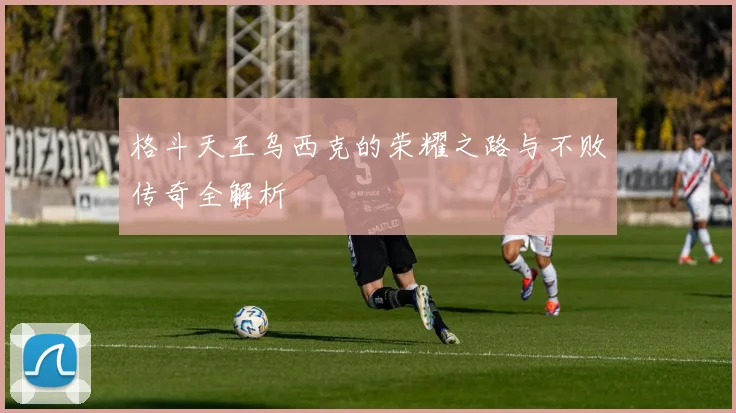 格斗天王乌西克的荣耀之路与不败传奇全解析