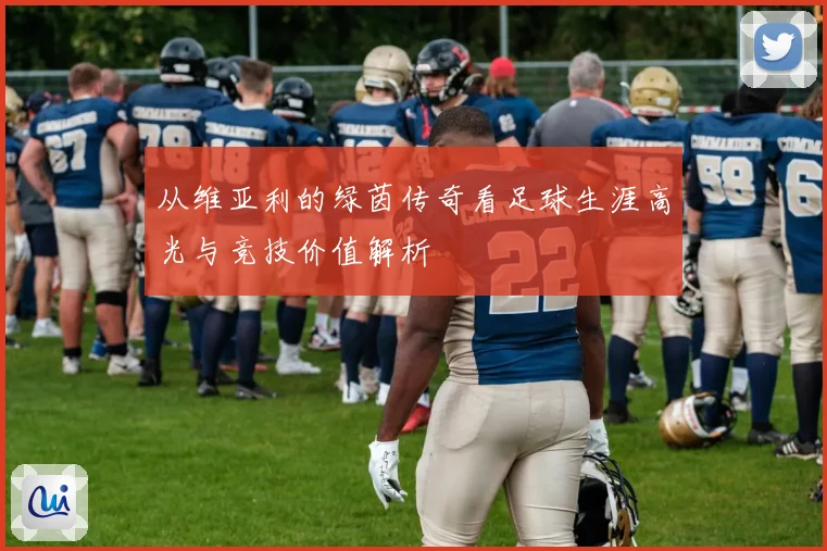 从维亚利的绿茵传奇看足球生涯高光与竞技价值解析