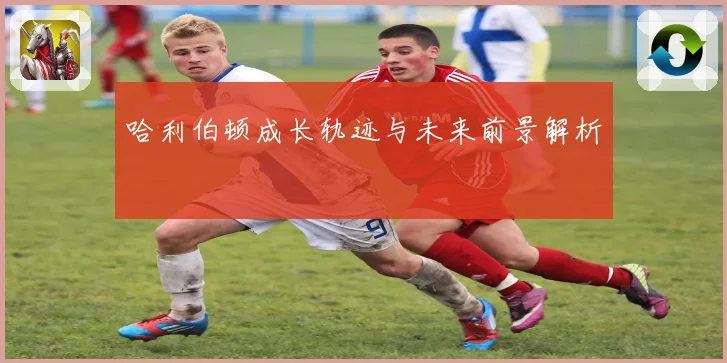 哈利伯顿成长轨迹与未来前景解析