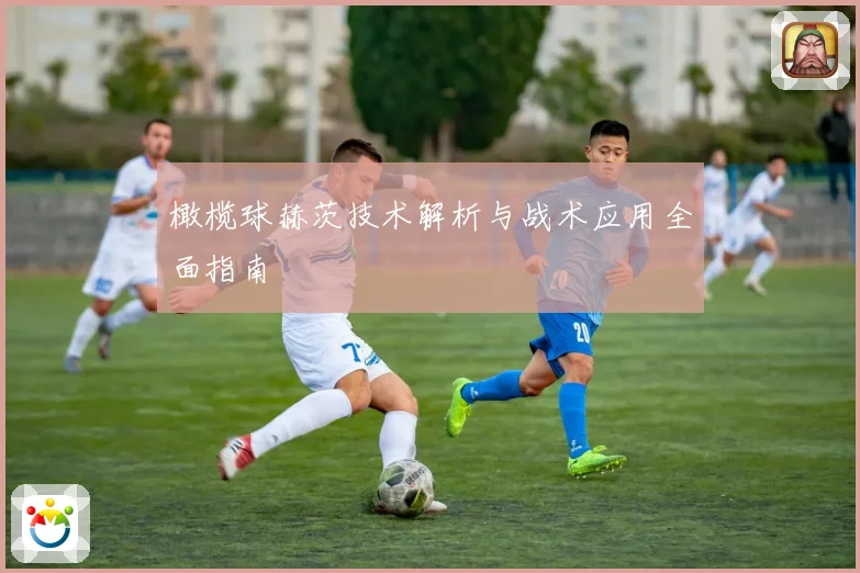 橄榄球赫茨技术解析与战术应用全面指南
