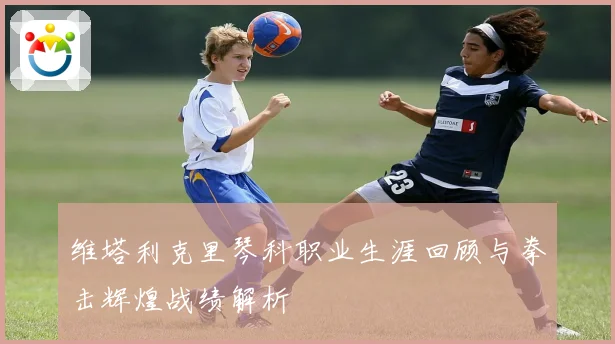 维塔利克里琴科职业生涯回顾与拳击辉煌战绩解析
