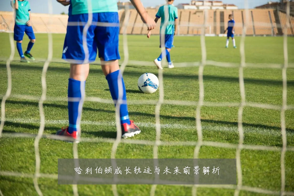 哈利伯顿成长轨迹与未来前景解析