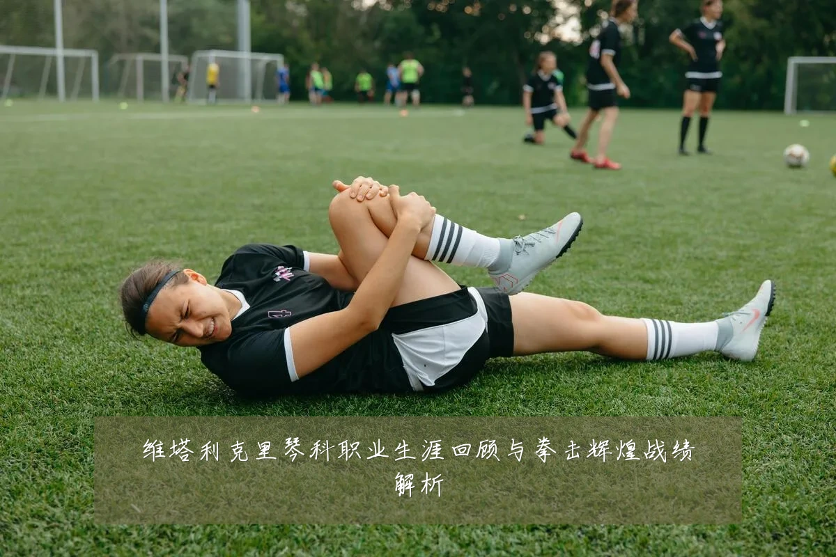 维塔利克里琴科职业生涯回顾与拳击辉煌战绩解析